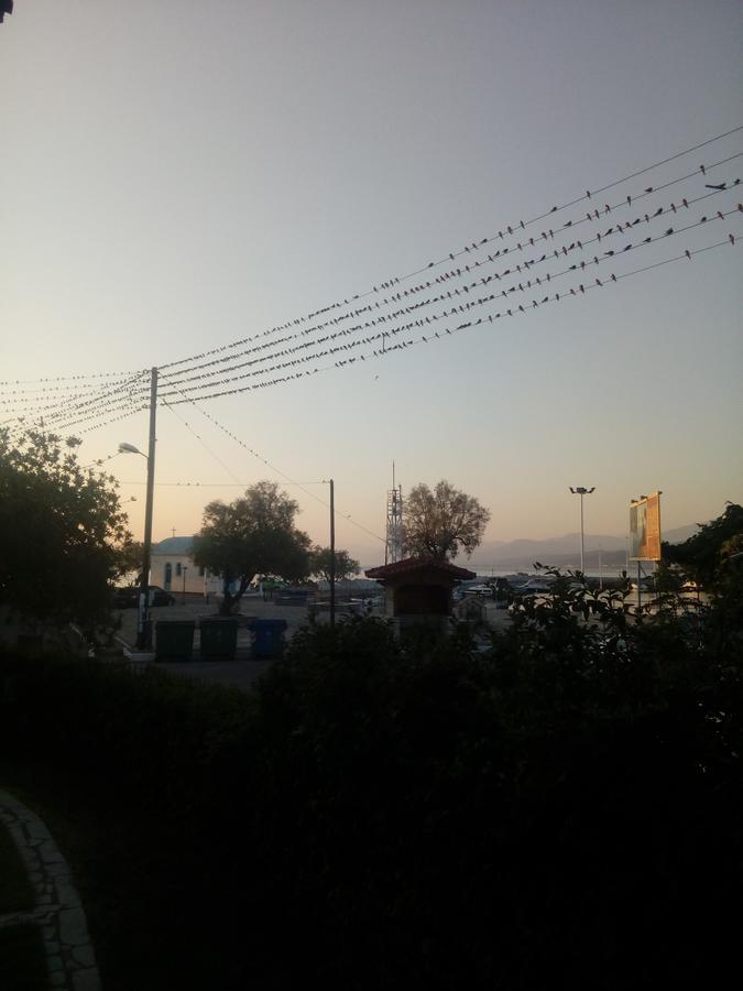 הוילה חיליאדו Elen House מראה חיצוני תמונה